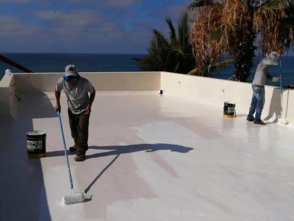 Roof Waterproofing